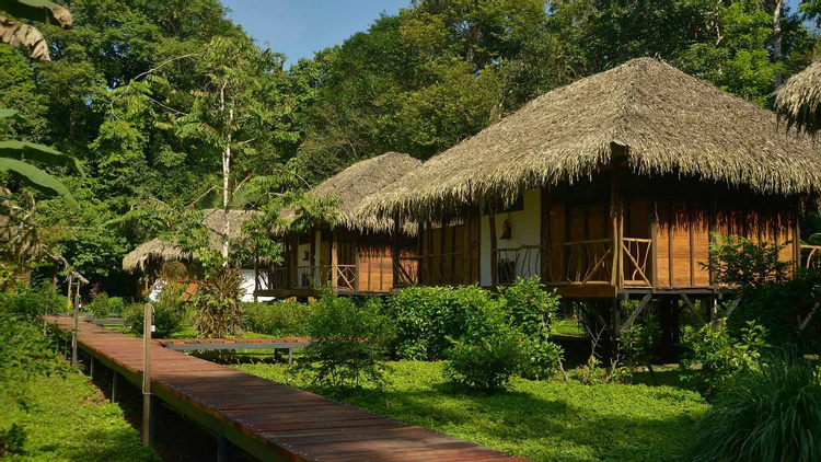 Sacha Lodge at Yasuni National Park photo